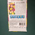 Семена Цветы, Георгина, Скоморохи, 0.2 г, кактусовидная смесь, цветная упаковка, Седек - фото 2
