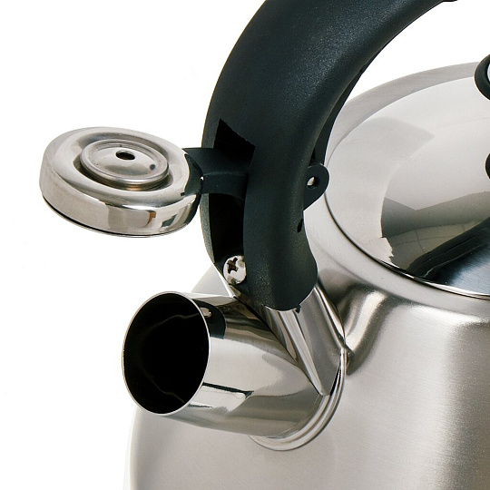 Чайник нержавеющая сталь, 3 л, со свистком, матовый, Hoffmann, индукция, серебрянный, НМ 55210