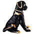 Статуэтка собака с галстуком 25x15см, высота: 24см, 276-169 - фото 3