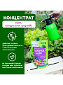 Инсектицид Зеленое мыло, 350 мл, с пихтовым экстрактом, БиоМастер - фото 3