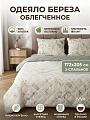 Одеяло 2-спальное, 172х205 см, Береза NEW, 180 г/м2, облегченное, хлопок, поплин, IVVA