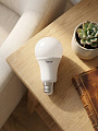 Лампа светодиодная E27, 11 Вт, 230 В, груша, 2700 К, теплый белый свет, General Lighting Systems, GLDEN-WA60, WA60, 636700 - фото 2