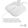 Светильник настольный 10 Вт, белый, Эра, NLED-462-10W-W, 22х264, Б0031612 - фото 13