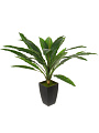 Цветок искусственный в кашпо Сансевьерия, горшок 11.5х17.5 см, 65 см, Y4-9784