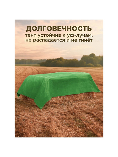 Тент универсальный, 500х300 см, 100 г/м2, TP-100-3-5-GR/SL