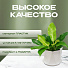 Кашпо пластик, 1 л, 13х11 см, для цветов, с поддоном, белое, Idea, Призма, М 3137 - фото 5