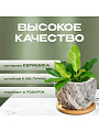 Горшок керамика, 0.2 л, 8.5х8.5х7 см, для кактусов и суккулентов, Мини, Y4-5358 - фото 2
