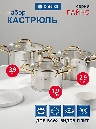 Набор посуды нержавеющая сталь, 6 предметов, индукция, Daniks, Лайнс, SD-072-6