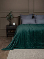 Плед 2-спальный, 200х220 см, искусственный мех, 100% полиэстер, Eclair, зеленый, 29 562