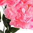 Цветок искусственный декоративный Пион, пасхальный, 48 см, розовый, Y6-10359 - фото 2