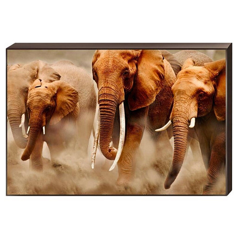 Картина декобокс, 60х90 см, Слоны, H-1003