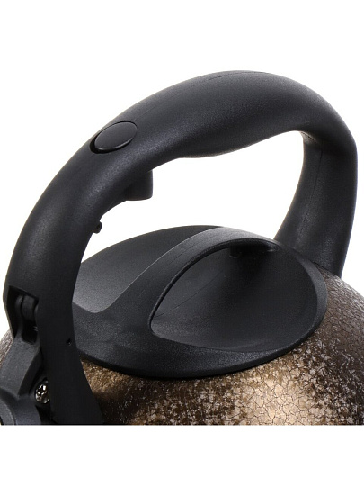 Чайник нержавеющая сталь, 2.7 л, со свистком, матовый, ручка бакелитовая, с силиконовым покрытием, Daniks, индукция, золото, M-084