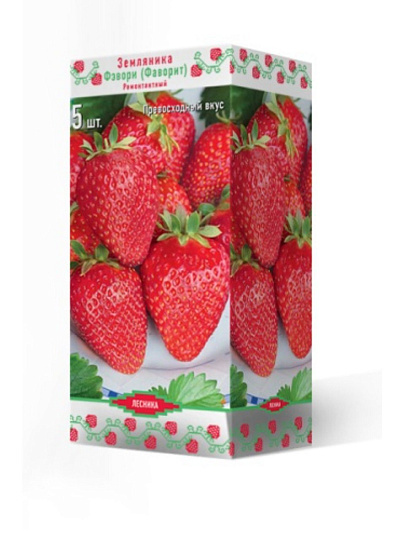 Саженцы Земляника садовая, Фэвори Фаворит, 5 шт, 719614