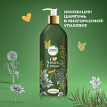 Шампунь Herbal Essences, Марокканское аргановое масло, 430 мл - фото 3