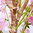 Дерево искусственное декоративное Сакура, в кашпо, 150 см, Y4-3400 - фото 3