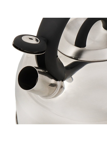 Чайник нержавеющая сталь, 3 л, со свистком, зеркальный, ручка бакелитовая, с силиконовым покрытием, Daniks, Турин, индукция, MSY-075PM