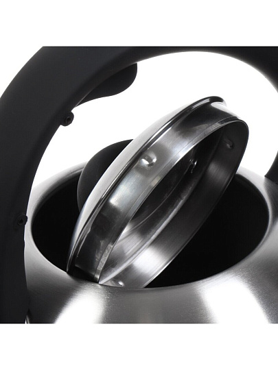 Чайник нержавеющая сталь, 2.7 л, со свистком, матовый, ручка бакелитовая, с силиконовым покрытием, Daniks, индукция, стальной, M-085