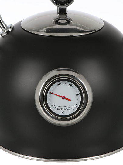 Чайник нерж, 3 л, со свист, нержавеющая сталь, с термометром, Daniks, GS-04436B