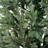 Елка новогодняя Beatrees Imperial 1030719, 190 см - фото 2