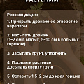 Грунт Азбука роста, универсальный, 50 л, Фабрика грунтов - фото 5