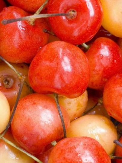 Саженцы Черешня, Заря Жукова, в коробке, подвой семенной, вишня Магалебская, 848055