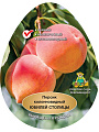 Саженцы Персик колонновидный, Юбилей столицы, 820800