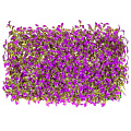 Декоративная панель Трава Purple Chili leaf, 40х60х5 см, Y4-4005
