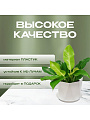 Кашпо пластик, 1 л, 13х11 см, для цветов, с поддоном, белое, Idea, Призма, М 3137 - фото 4