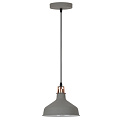 Светильник потолочный Camelion Amsterdam PL-425S C73 60 Вт E27 серый + медь