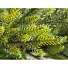 Елка новогодняя напольная, 180 см, ель, зеленая, хвоя полиэтилен + ПВХ пленка, 844-017 - фото 3