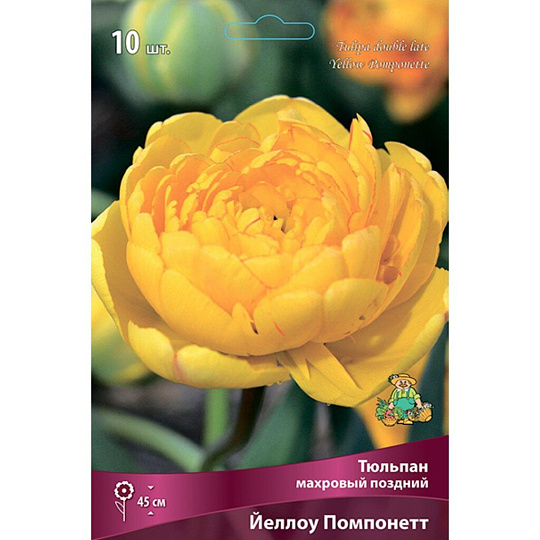 Луковицы Тюльпан махровый поздний, Йеллоу Помпонетт, 11-12/К, 10 шт