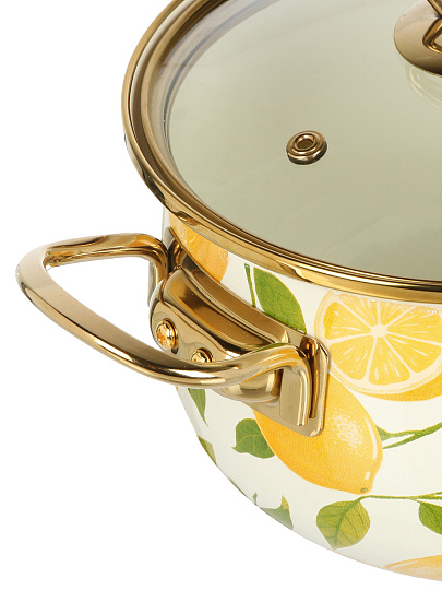 Кастрюля эмалированная сталь, 4 л, крышка стекло, Daniks, Лимоны, индукция