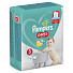 Подгузники-трусики детские Pampers, Pants Midi, р. 3, 6 - 12 кг, 19 шт, унисекс - фото 2