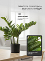 Цветок искусственный декоративный Замиокулькас, в кашпо, 60 см, Y4-8806 - фото 3