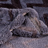 Плед евро, 200х220 см, микрофибра, 100% полиэстер, Marianna, Карат, графит, арт.12 - фото 2