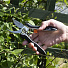 Ножницы для растений, 8 мм, изогнутые, Plantic, 35307-01 - фото 4