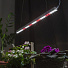 Светильник светодиодный для растений, 9 Вт, 220-240 В, IP20, Т5, Эра, FITO-9W-T5-Ra90, Б0049311 - фото 6