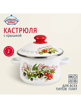 Кастрюля эмалированная сталь, 2 л, крышка сталь, цилиндрическая, Сибирские товары, Оливки и черри, 3MD161M, индукция