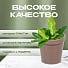 Кашпо пластик, 1.1 л, 13х12.8 см, универсальное, мокка, Терра, КШ-9075 - фото 8