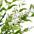 Цветок искусственный декоративный Ветвь, 35 см, белый, Y4-7952 - фото 2