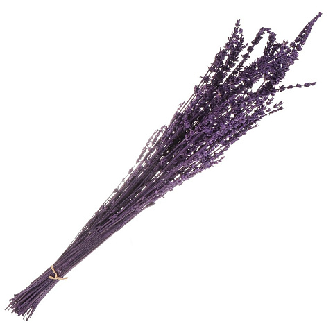 Цветок искусственный декоративный Сухоцветы, 60 см, фиолетовый, Y6-10347