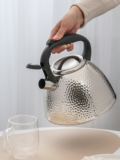 Чайник нержавеющая сталь, 3 л, со свистком, сатинированный, сталь 304, Daniks, индукция, GS-04197A-1