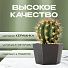 Кашпо керамика, 0.7 л, 12х8.5 см, шестигранник, черное, Эджес №2, 049720 - фото 6