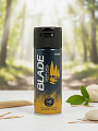 Дезодорант BLADE, Deep Chill, для мужчин, спрей, 150 мл - фото 2