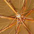 Зонт для женщин, механический, 8 спиц, 55 см, полиэстер, белое золото, Y822-062 - фото 7