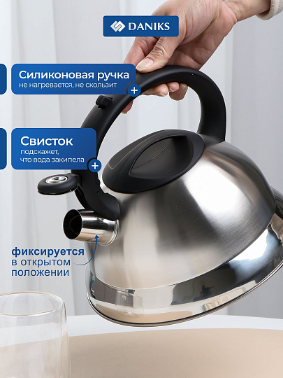 Чайник нержавеющая сталь, 2.8 л, со свистком, матовый, ручка с силиконовым покрытием, Daniks, MSY-013