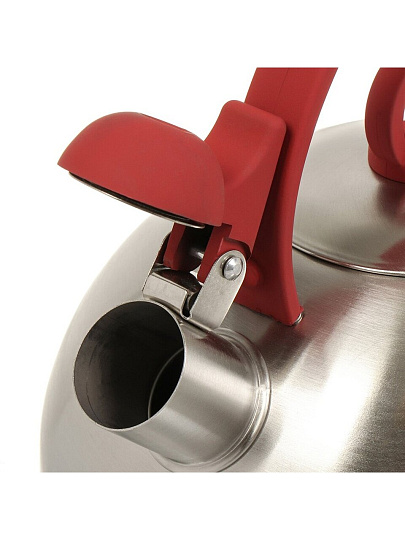 Чайник нержавеющая сталь, 2.8 л, со свистком, зеркальный, ручка с покрытием, нейлон, Daniks, индукция, GS-04003