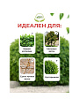 Ножницы садовые бордюрные, Инструм-Агро, Добрыня, 010158 - фото 4