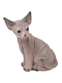 Фигурка гипс, Кошка Сфинкс, 10х21х21 см, G015-21-105