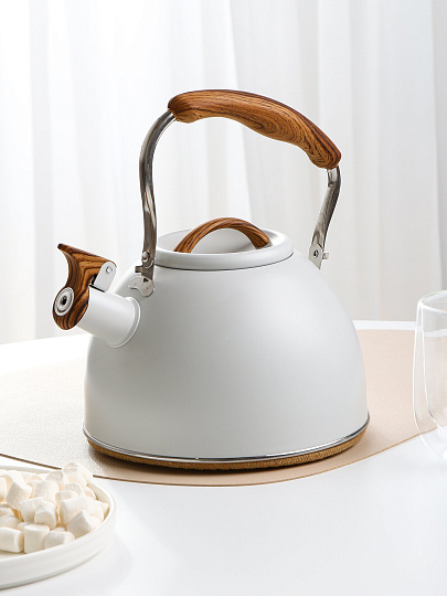 Чайник нерж, 2,5 л, со свист, нержавеющая сталь, Daniks, GS-04415B